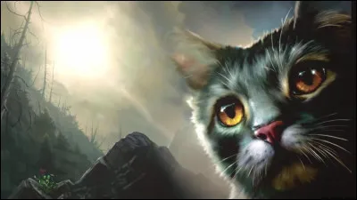 Qui est ce chat présent sur la couverture du deuxième tome du cycle 2 de la saga ?