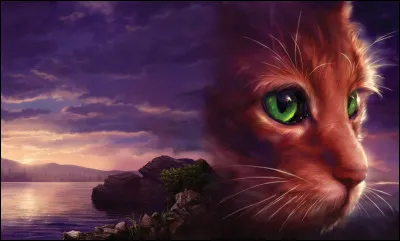 Quel est le nom de guerrière de cette apprentie énergique ?