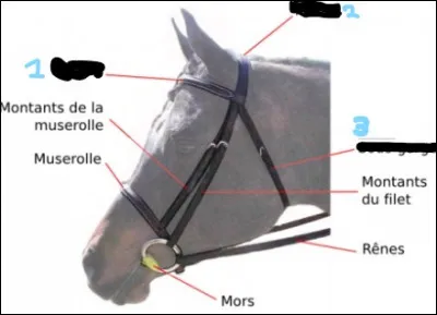 Complète la partie barrée. (1)