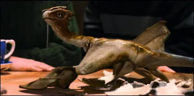 Qui élève un dragon en cachette ?