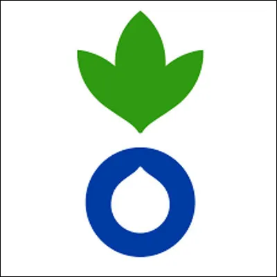 Quel acad&eacute;micien, prix Goncourt pour le roman "Rouge Br&eacute;sil", a pr&eacute;sid&eacute; l�ONG Action pour la faim ?