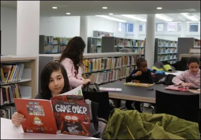 Quelle administration finance les bibliothèques, les musées ?