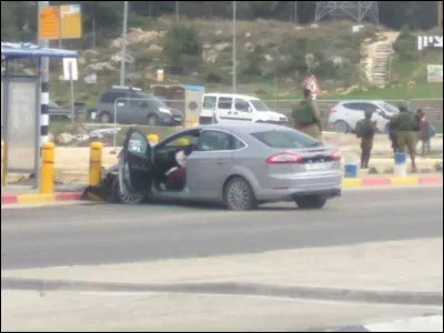 Pour s'accoupler, quel animal lutte ?