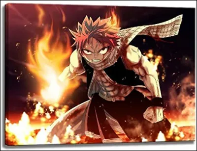 Quel genre de mage Natsu est-t-il ?