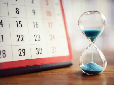 Combien de temps consacrerais-tu à ton animal ?