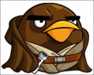 Quel est le pouvoir de Mace Windu ?