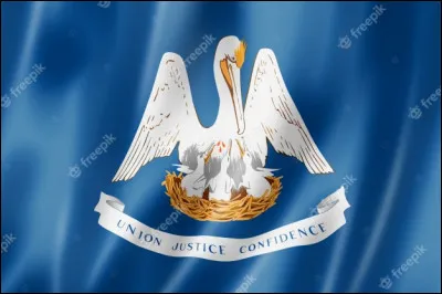 Quel État des États-Unis porte ce drapeau ?