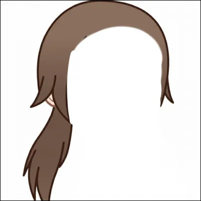 Quelle est ta coiffure ? Tes cheveux sont :
