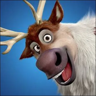 Comment se nomme-t-il ?