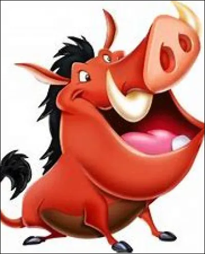 Comment se nomme ce phacochère ?