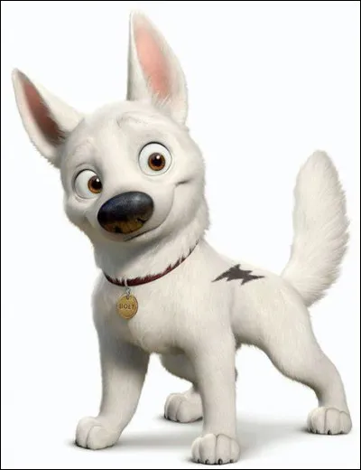 Comment se nomme-t-il ?