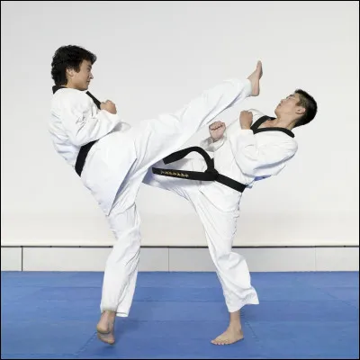 Le taekwondo est un art martial thaïlandais :