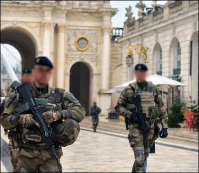 Les militaires qui sont actuellement en mission sentinelle seront envoyés sur d'autres opérations plus dévolues à l'armée. Ils seront remplacés par une nouvelle force, composée de policiers et de gendarmes et assurons les mêmes missions dans cette lutte contre le terrorisme. Quelle force armée est présente sur la photographie ?