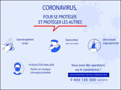 Dans la gestion de crise due au coronavirus, je mettrai tout en uvre pour que la population reprenne progressivement la vie comme elle était avant. Quel est l'autre nom donné à cette pandémie ?