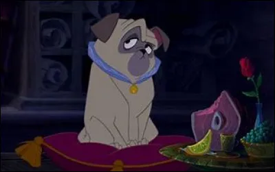 Comment s'appelle-t-il ?