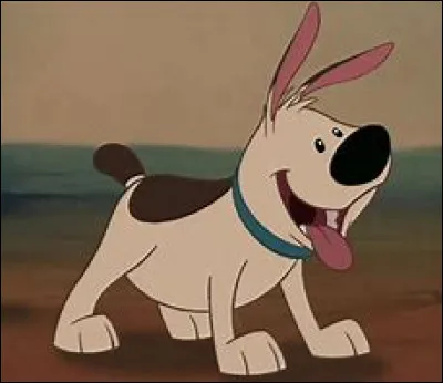 Comment se nomme-t-il ?