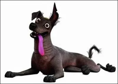 Comment se nomme-t-il ?