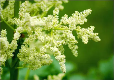 Quel pays a adopté de nouvelles mesures anti-LGBTQI+ ?