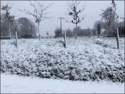 En hiver, que préfères-tu faire ?