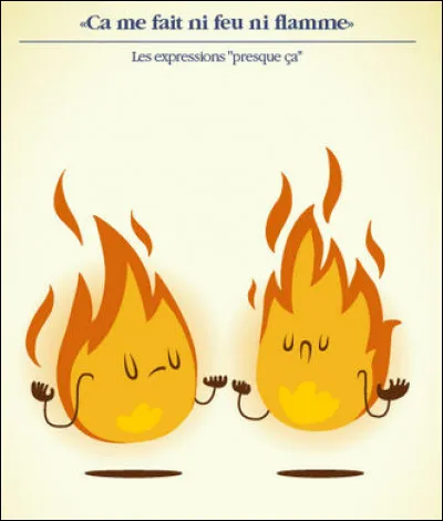 "Ça ne me fait ni feu ni flamme !" > Je suis sûr que vous brûlez... de donner la bonne version, non ?