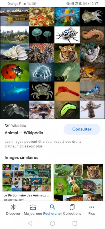 Ton animal préféré est :