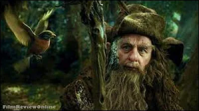 Quel est le nom de Radagast ?
