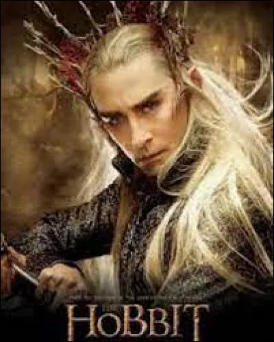 Qui est le roi elf qui les retient prisonnier ?