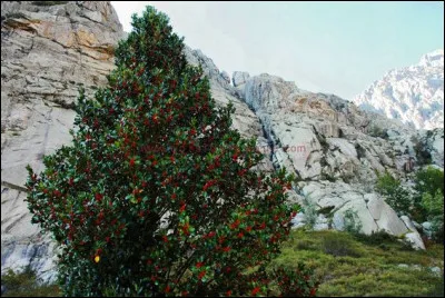 Pour casser la croûte, c'est la...