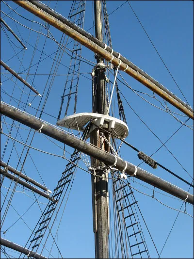 Séductrice de comptoir, c'est la...