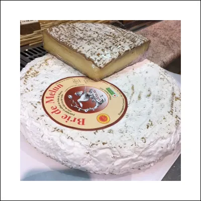 Quelles sont les caractéristiques du brie de Melun ?