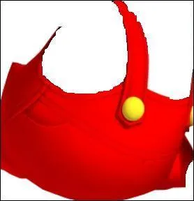  qui peut bien appartenir cette salopette bizarre ?