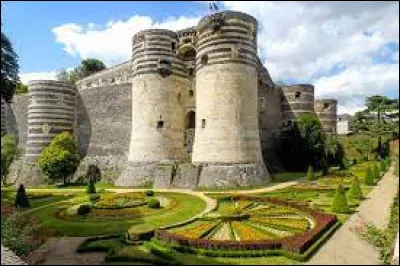 En France, dans quelle ville peut-on visiter le château des ducs d'Anjou ?