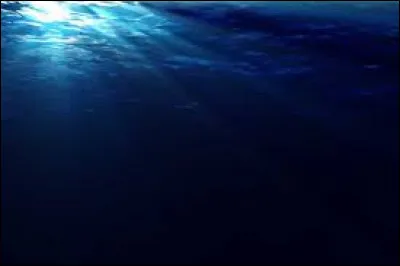 La fosse des Mariannes est la fosse océanique la plus profonde connue à ce jour​. Dans quel océan se trouve-t-elle ?