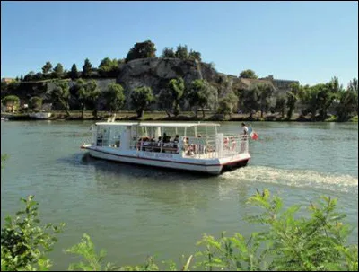 Comment s'appelle le bateau à Avignon qui traverse le fleuve pour déposer les passagers sur l'Île de la Barthelasse ?