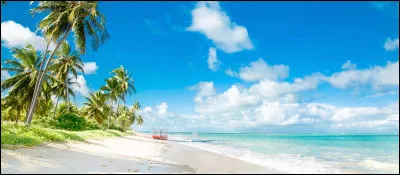 Quel type de plage attire le plus les vacanciers ?