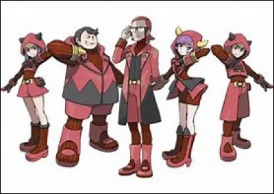 Quel est le nom de cette organisation ?