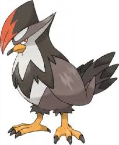 Quel est ce pokémon ?