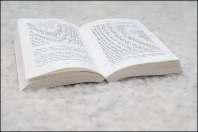 Qui a écrit "Les Yeux d'Elsa" ?