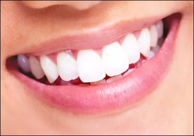 Combien de dents lêtre humain a-t-il ?