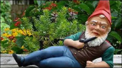 Qu'est-ce qu'un nain remboursé ?