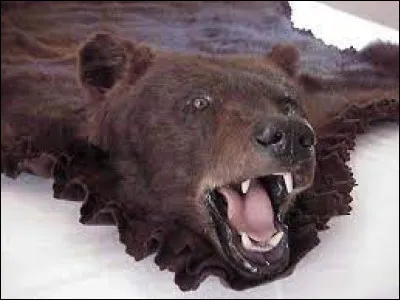 Complétez cette célèbre expression : "Il ne faut pas vendre la peau de l'ours...