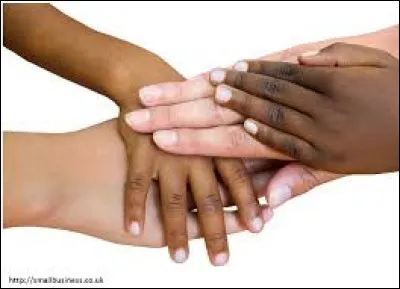 Comment dit-on la "peau" en anglais ?