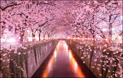 Qui est avec elle dans son équipe ?