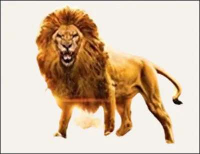 Lesquels sont envoyés dans le désert, pour convaincre Cabaro de leur donner son talisman ?