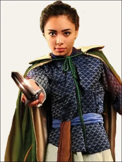 Pourquoi Meilin est-elle si triste dans le tome 4 ?