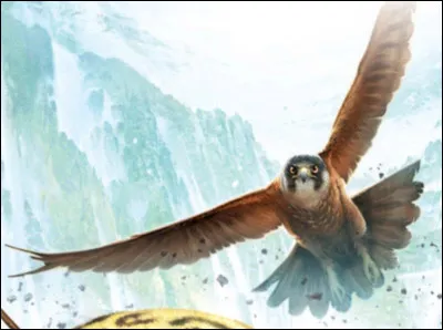 Comment sécrit le nom du faucon de Rollan ?