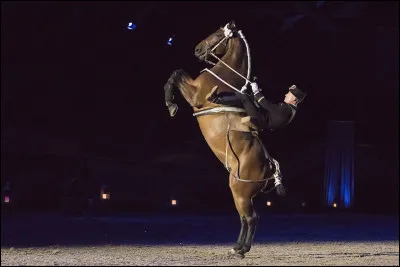 Lequel n'est pas un mouvement sur place ?