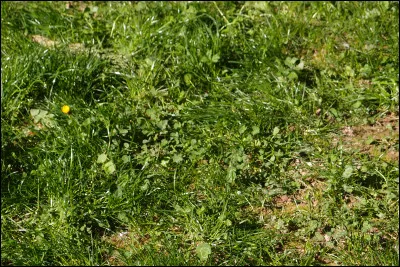 Quel paysage est ton favori ?