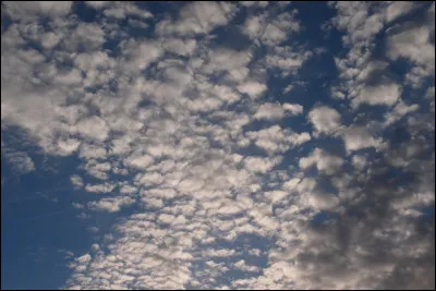 Quel élément aimes-tu le plus ?