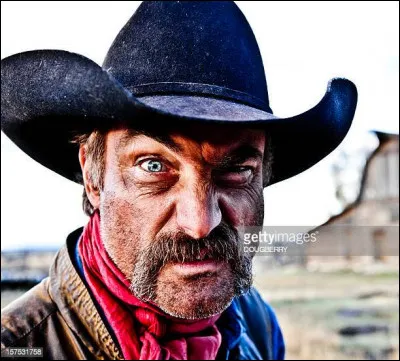 Quel chapeau mettrais-tu ?